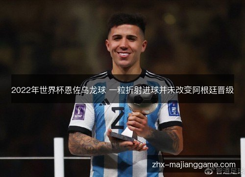 2022年世界杯恩佐乌龙球 一粒折射进球并未改变阿根廷晋级